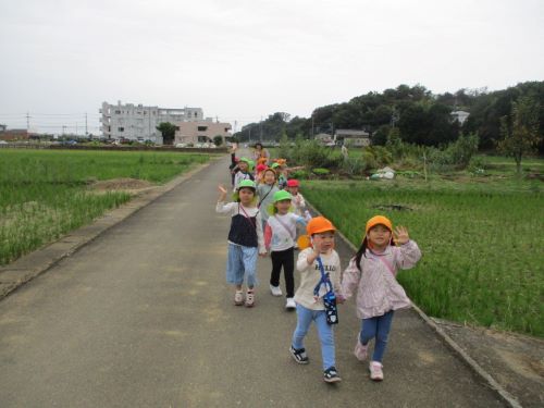 お散歩日和♪