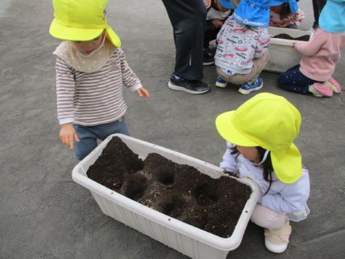 大きくなぁれ！