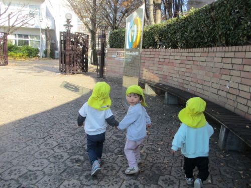 舞い上がるイチョウの葉っぱ☆